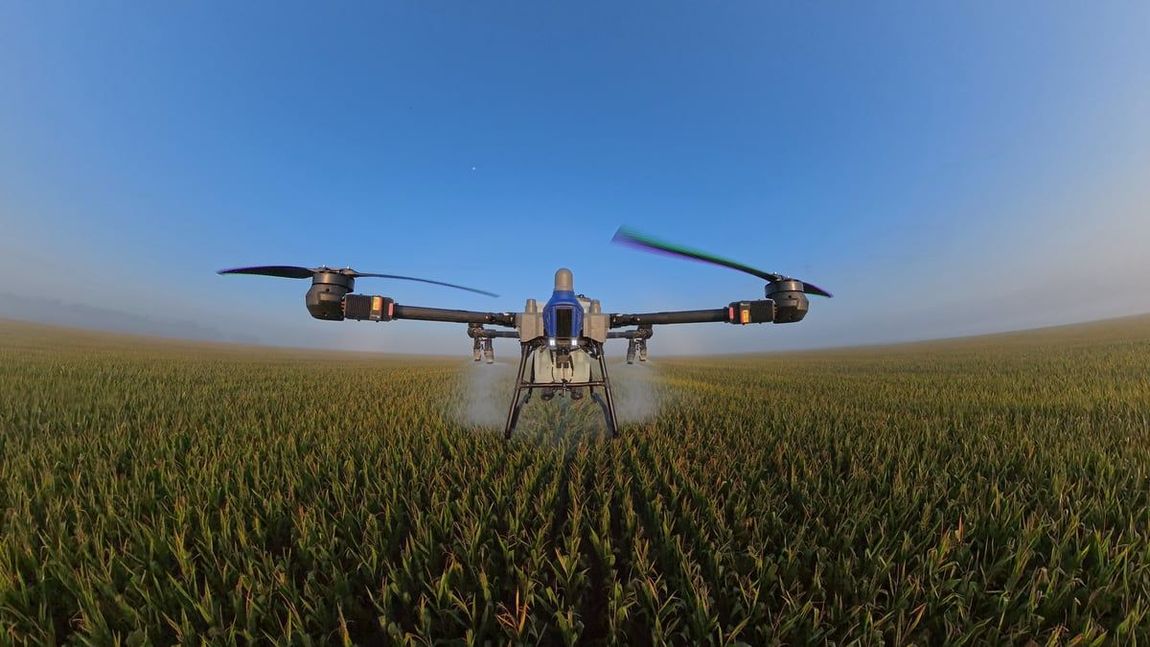 Drone spraying crop field with a white substance. Blue sky and green field.