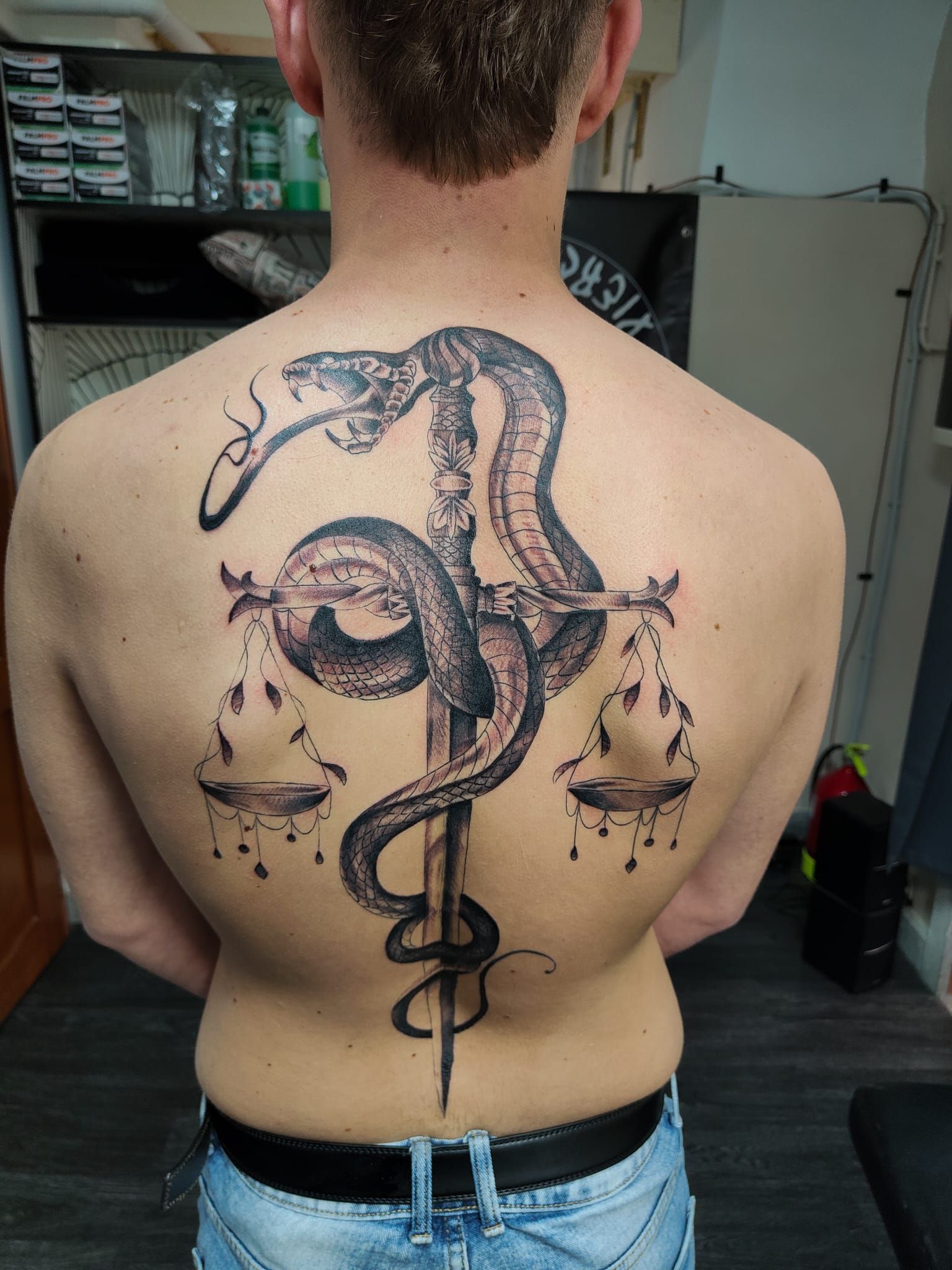 Un tatuaggio sulla schiena raffigurante un grande serpente nero avvolto attorno a una spada verticale.
