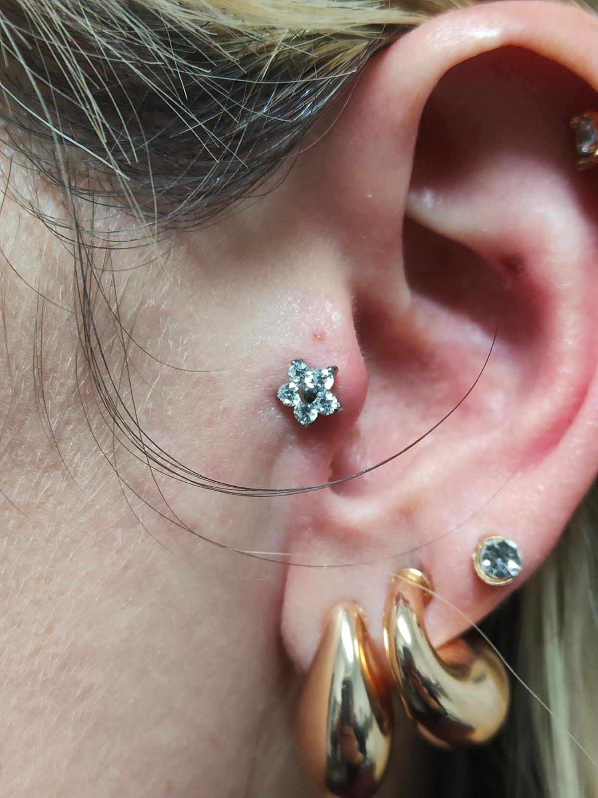 Primo piano di un orecchio con molteplici piercing e orecchini d'oro e d'argento.