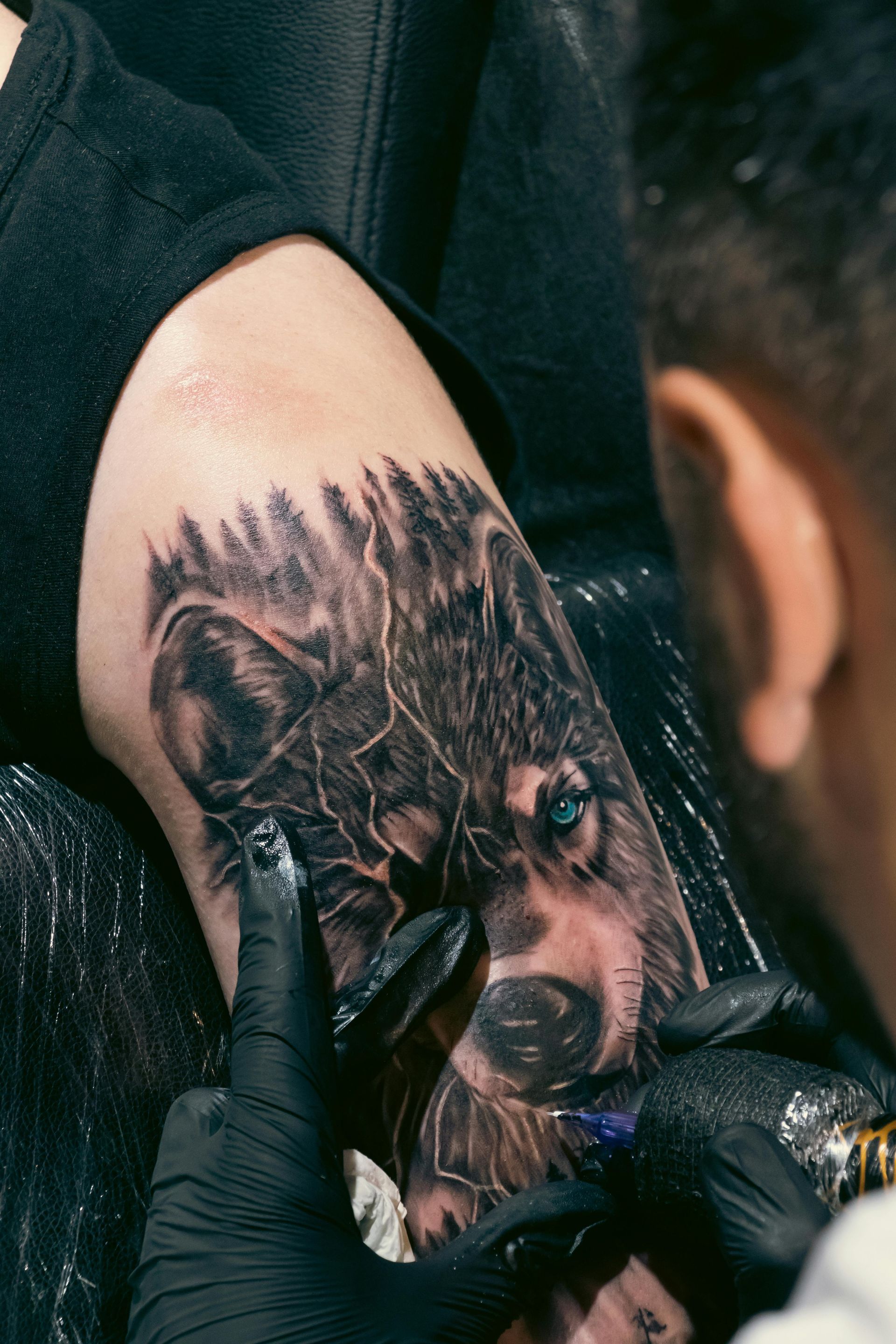 Un tatuatore con i guanti neri esegue un tatuaggio realistico di un orso sulla parte superiore del braccio.
