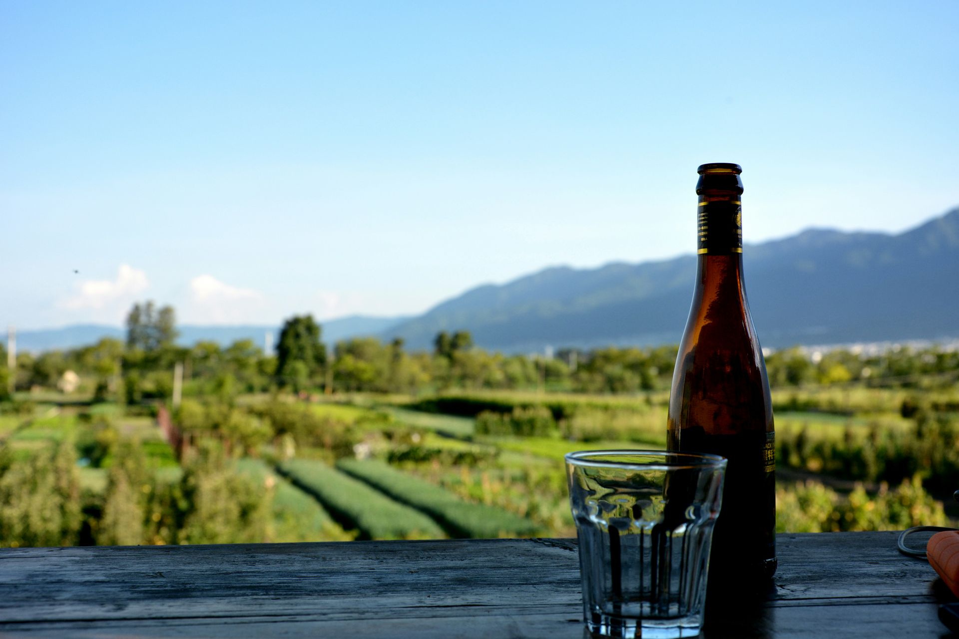 Napa Valley wine tours in a limo