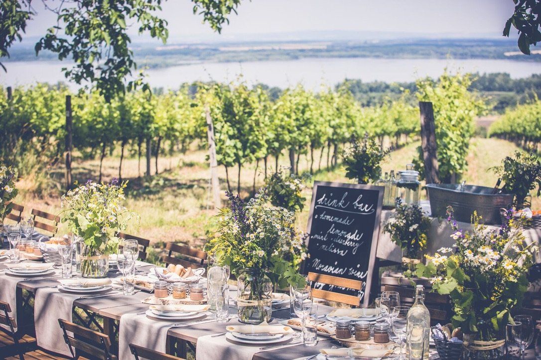 Stůl s talíři, sklenicemi a menu na vinici.