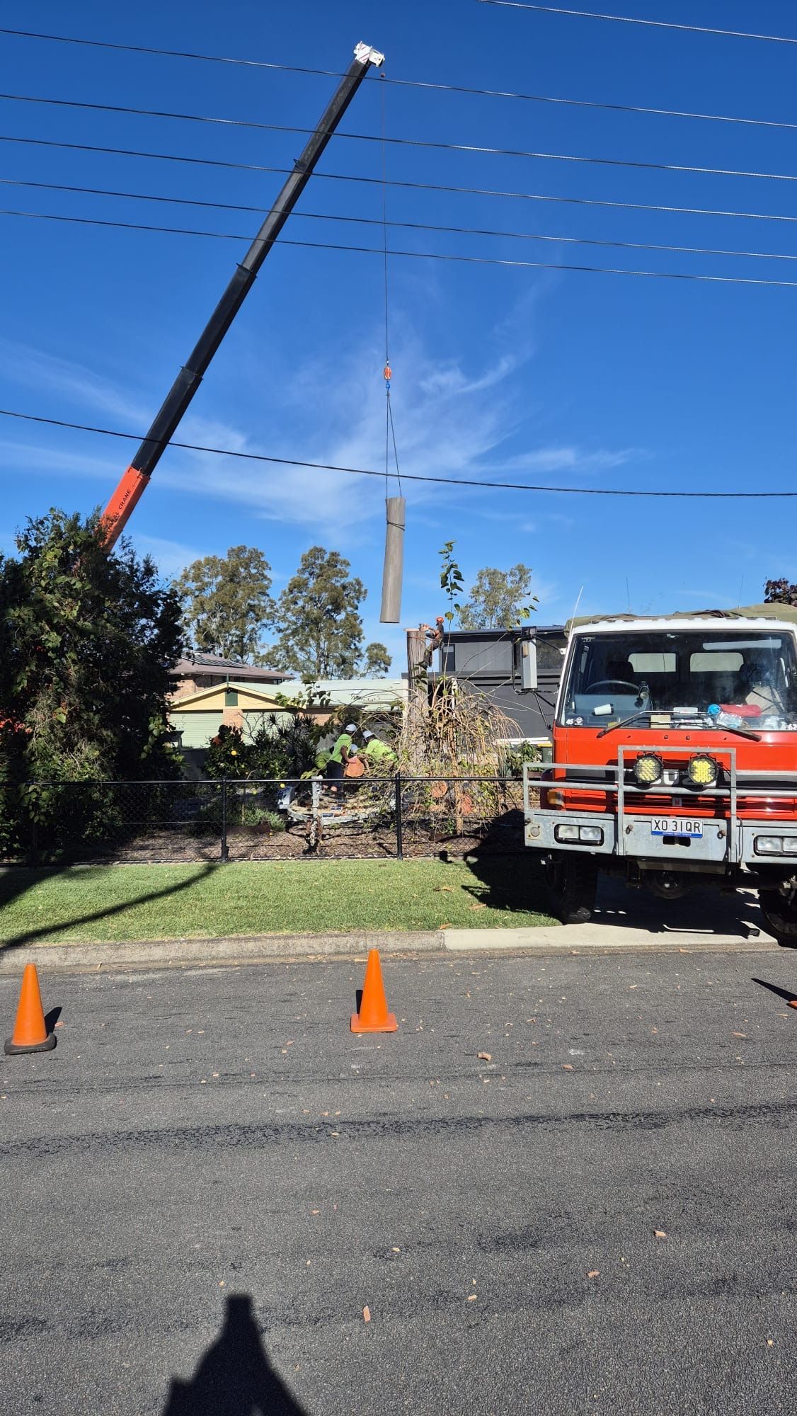 A Person Is Climbing a Tree with A Rope Attached to It — True Blue Australian Tree Services in Morisset, NSW