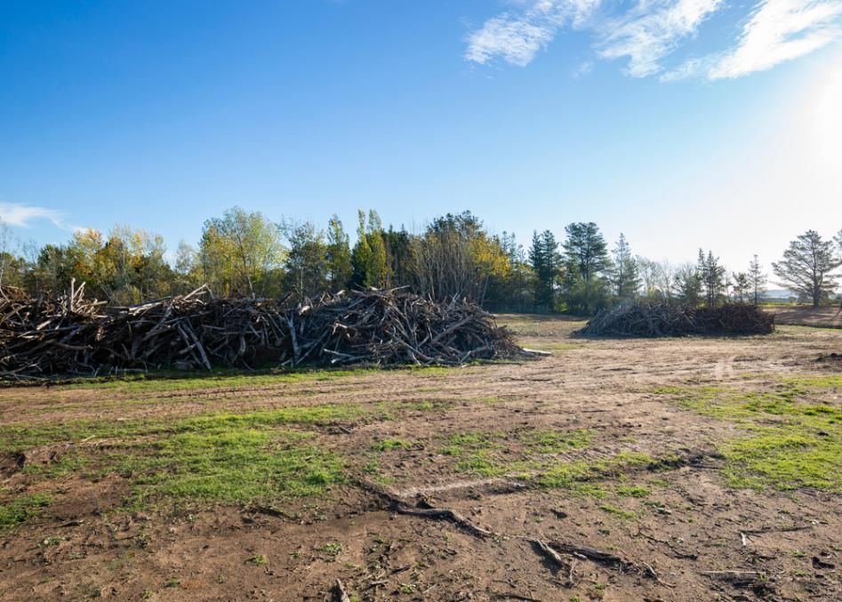 There Is a Large Pile of Logs in The Middle of A Field — True Blue Australian Tree Services in Morisset, NSW