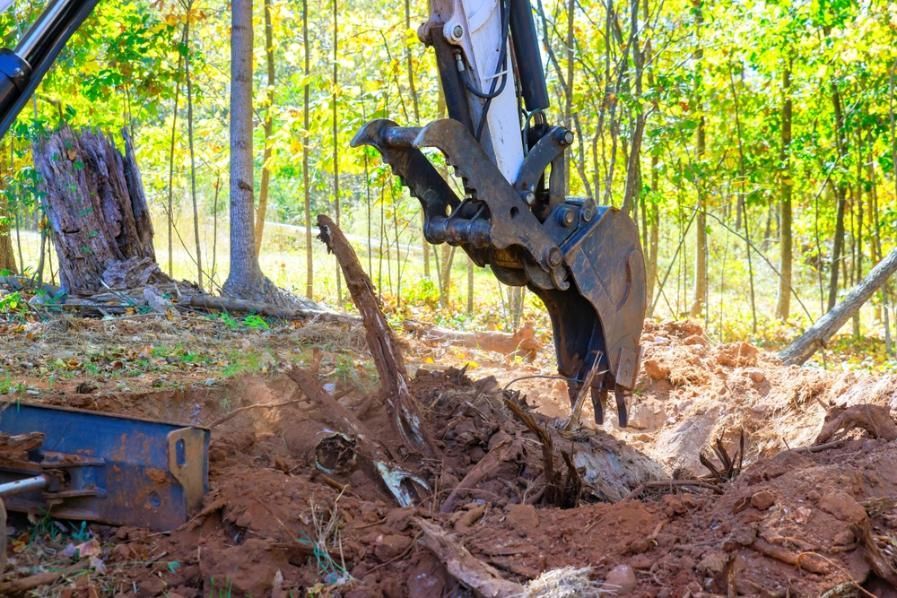 A Bulldozer Is Digging a Hole in The Ground in The Woods — True Blue Australian Tree Services in Morisset, NSW