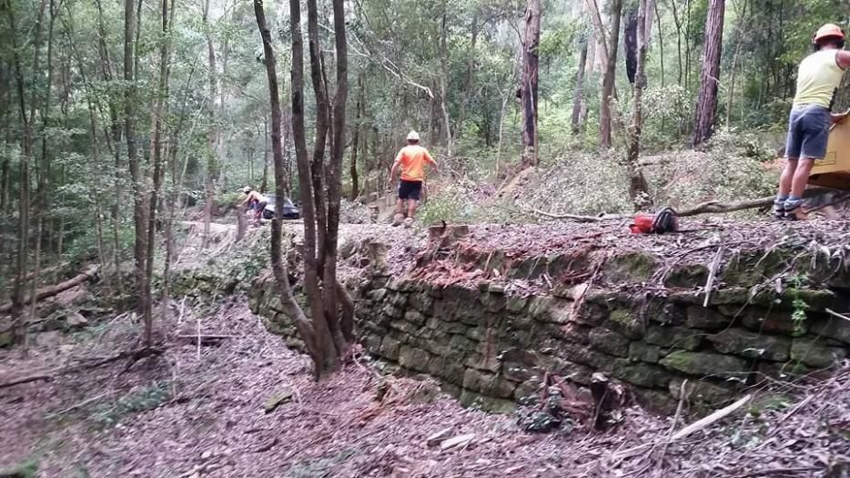 A Group of People Are Working on A Stone Wall in The Woods — True Blue Australian Tree Services in Sunshine, NSW