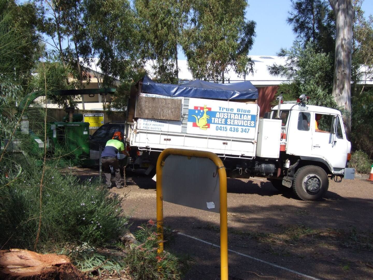 A Person Is Cutting a Tree Branch with A Pair of Scissors — True Blue Australian Tree Services in Morisset, NSW