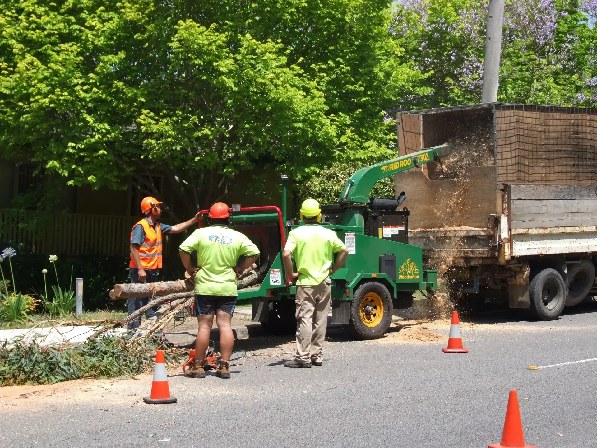 A Person Is Holding a Pile of Wood Chips in Their Hand — True Blue Australian Tree Services in Morisset, NSW