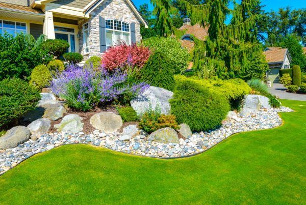 Landscaped front yard with green lawn, rocks, shrubs, and purple flowers beside a house