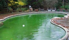 A green swimming pool with a white ball in it.