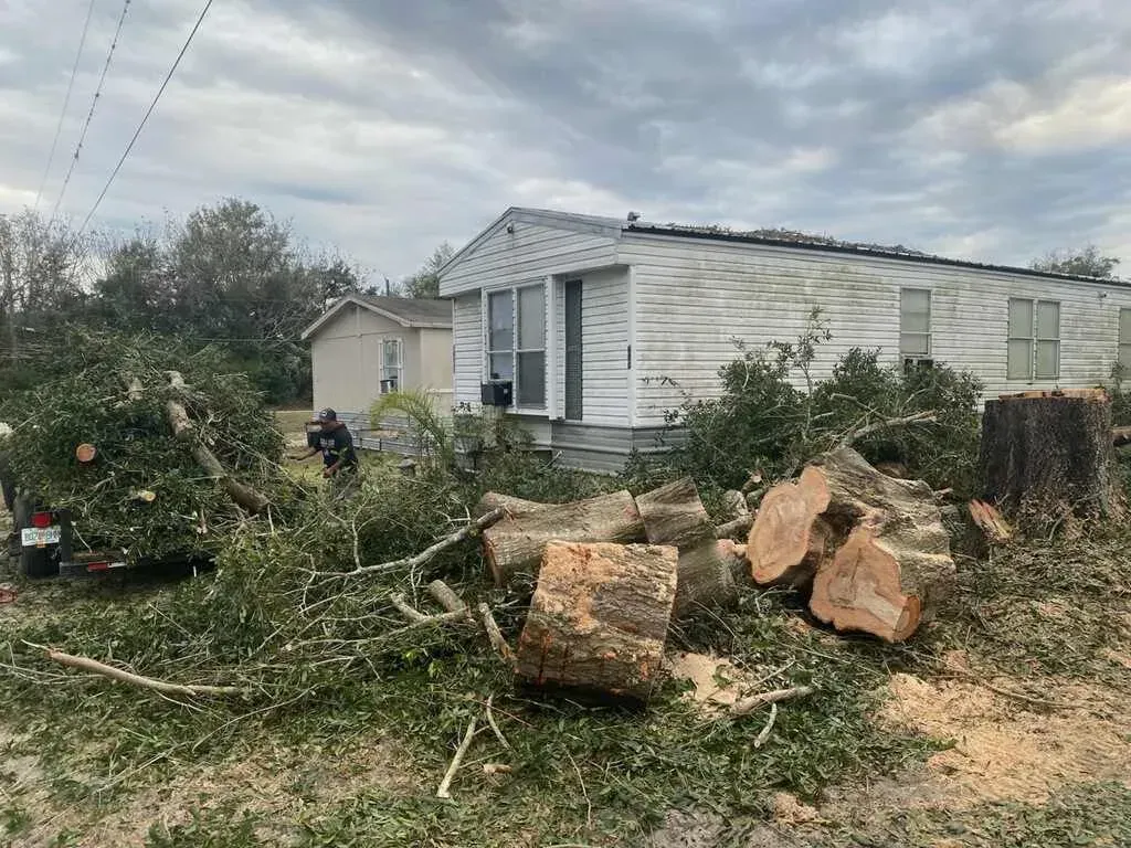 Storm damage in a yard: fallen tree limbs and cut logs beside a white house under a cloudy sky