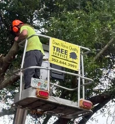 Tree service worker in an orange hard hat trimming branches from a bucket lift among trees