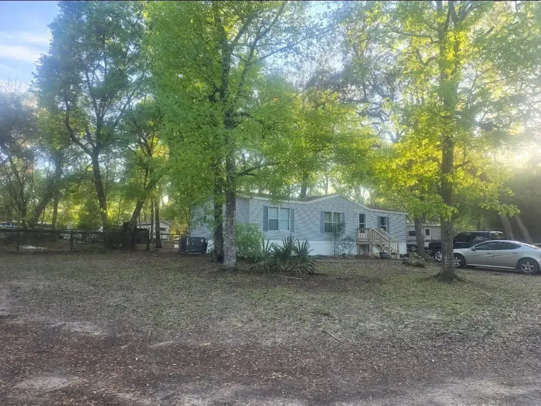 Small white house under tall green trees, with a parked car in a leafy yard.