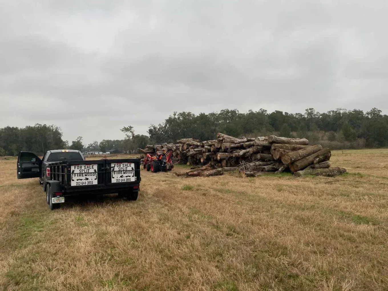 Pickup truck beside stacked logs in a grassy field under an overcast sky