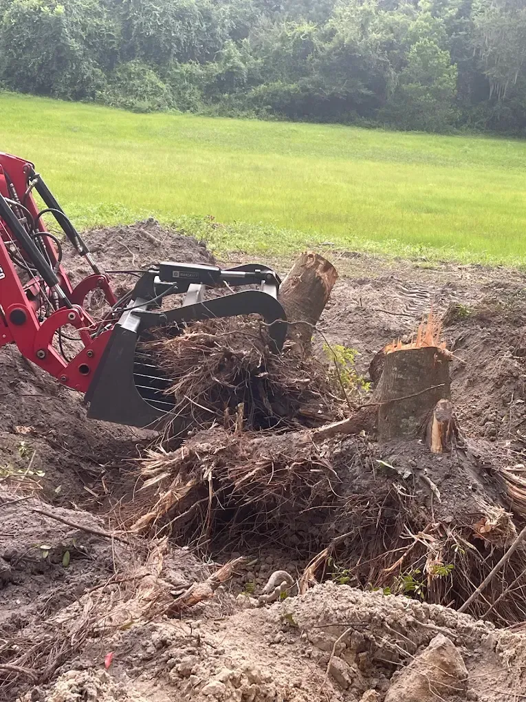 Red excavator pulling out a large tree stump in a muddy field near a grassy area