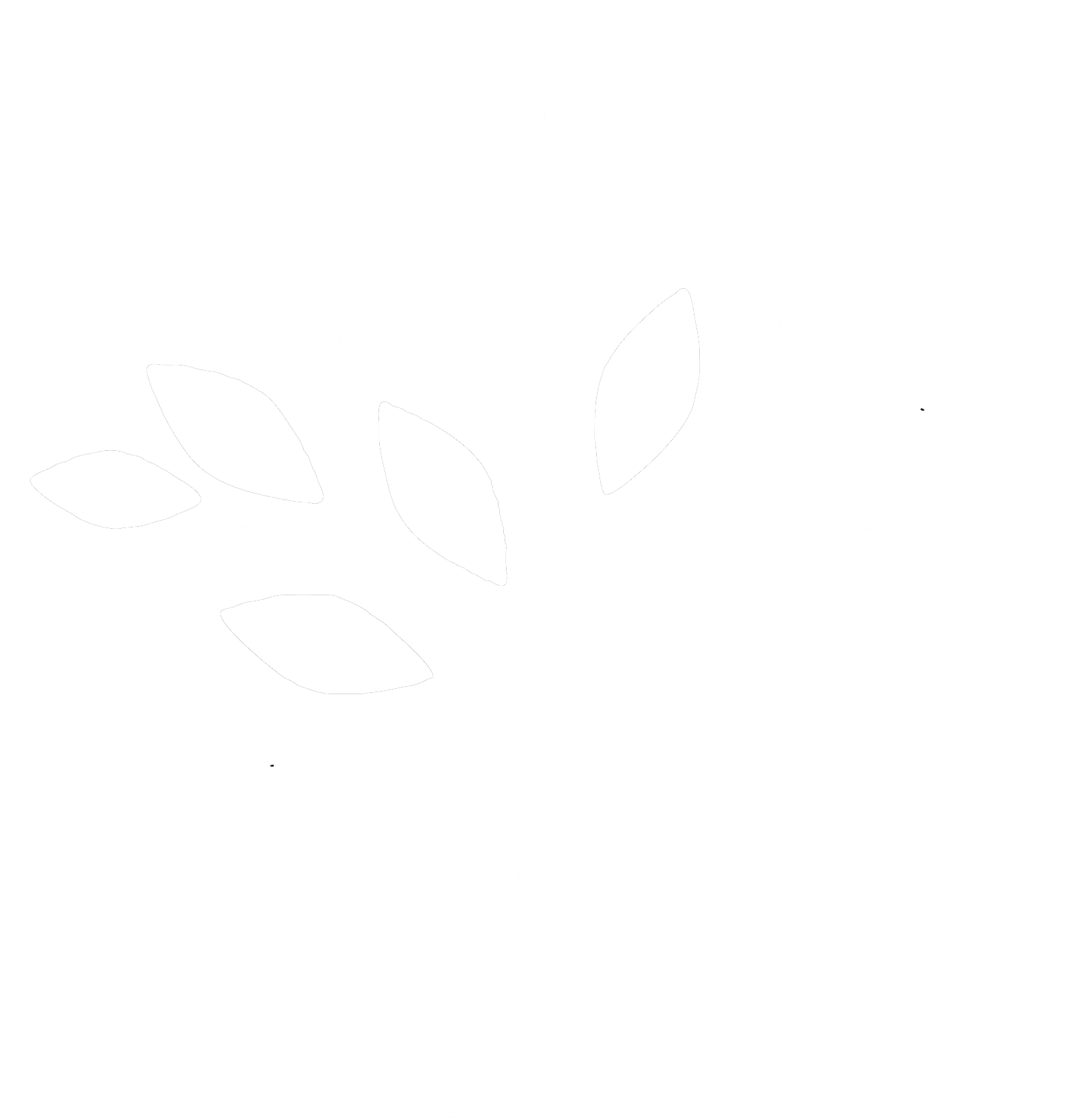A white background with a few small dots on it