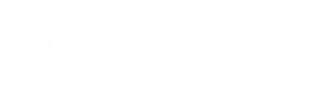 Lakeshore Management logo