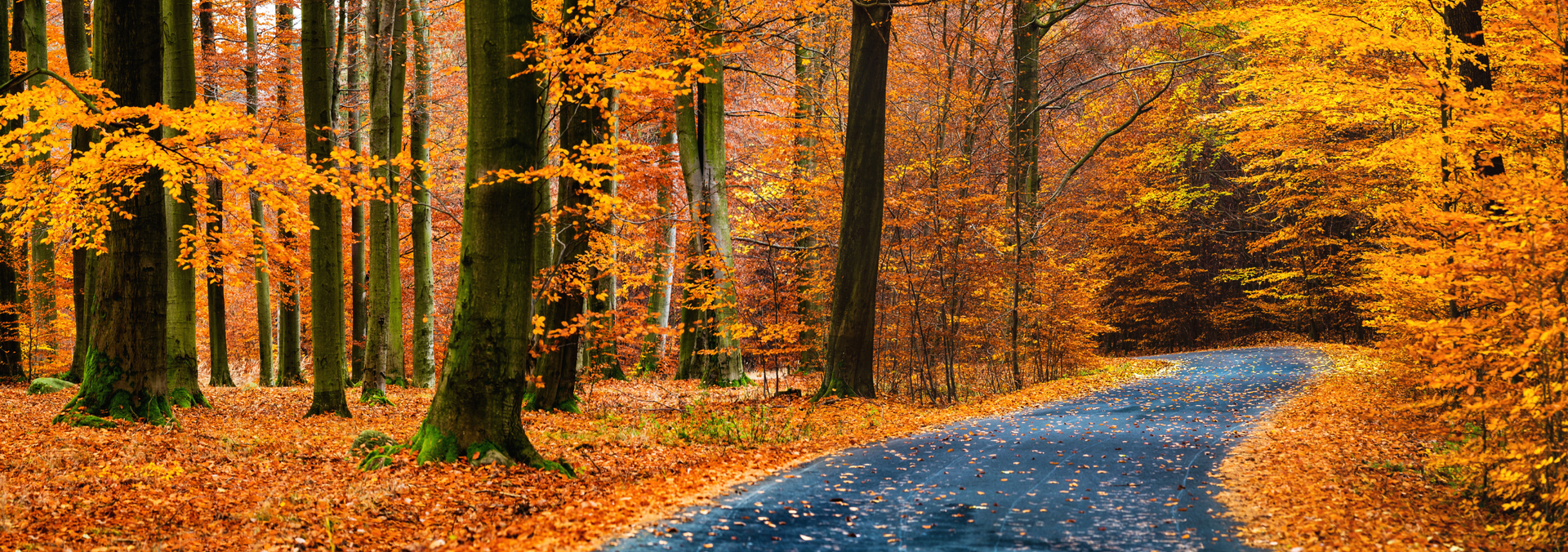 autumn holidays package deals