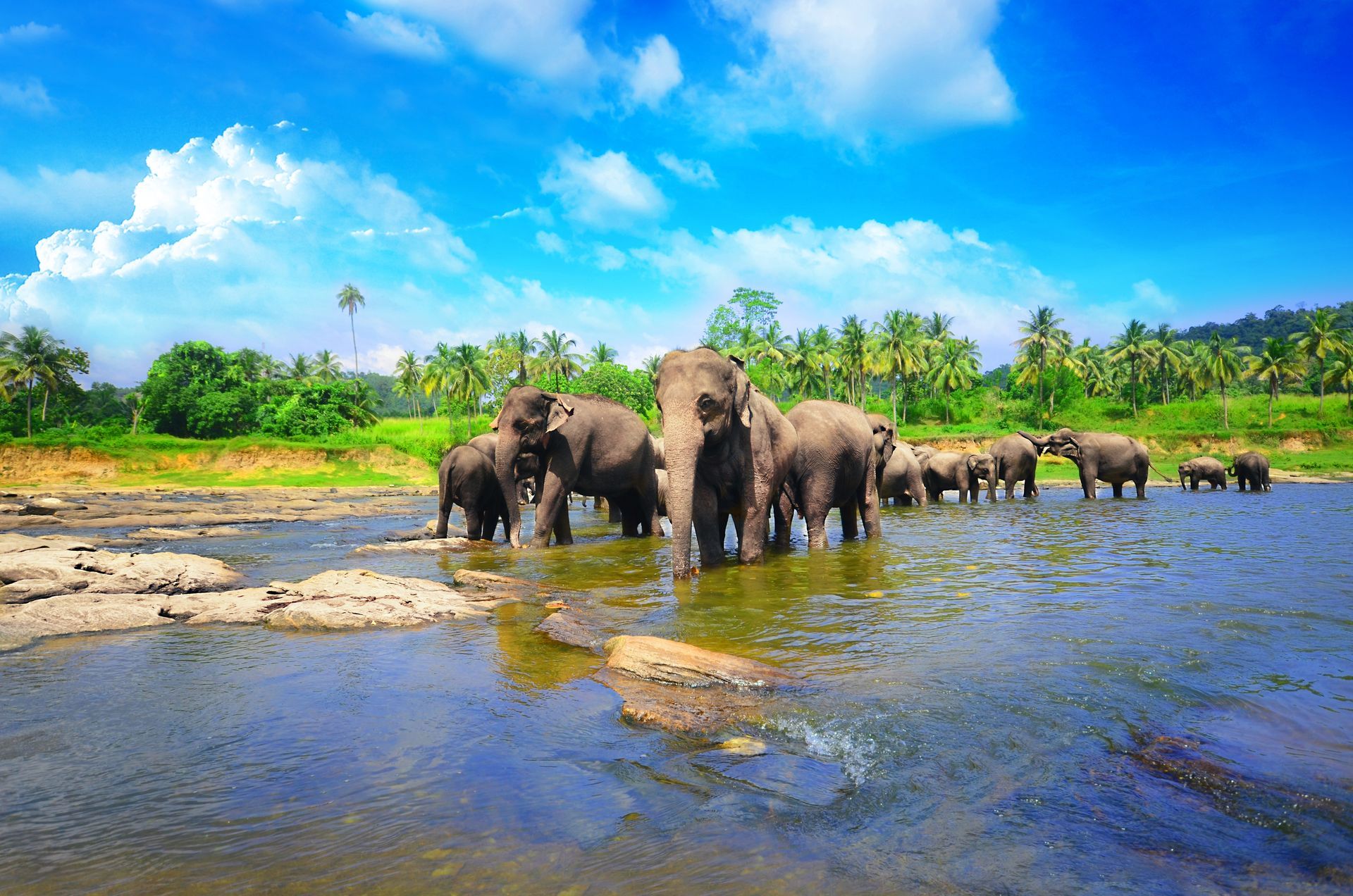 Sri Lanka Holidays