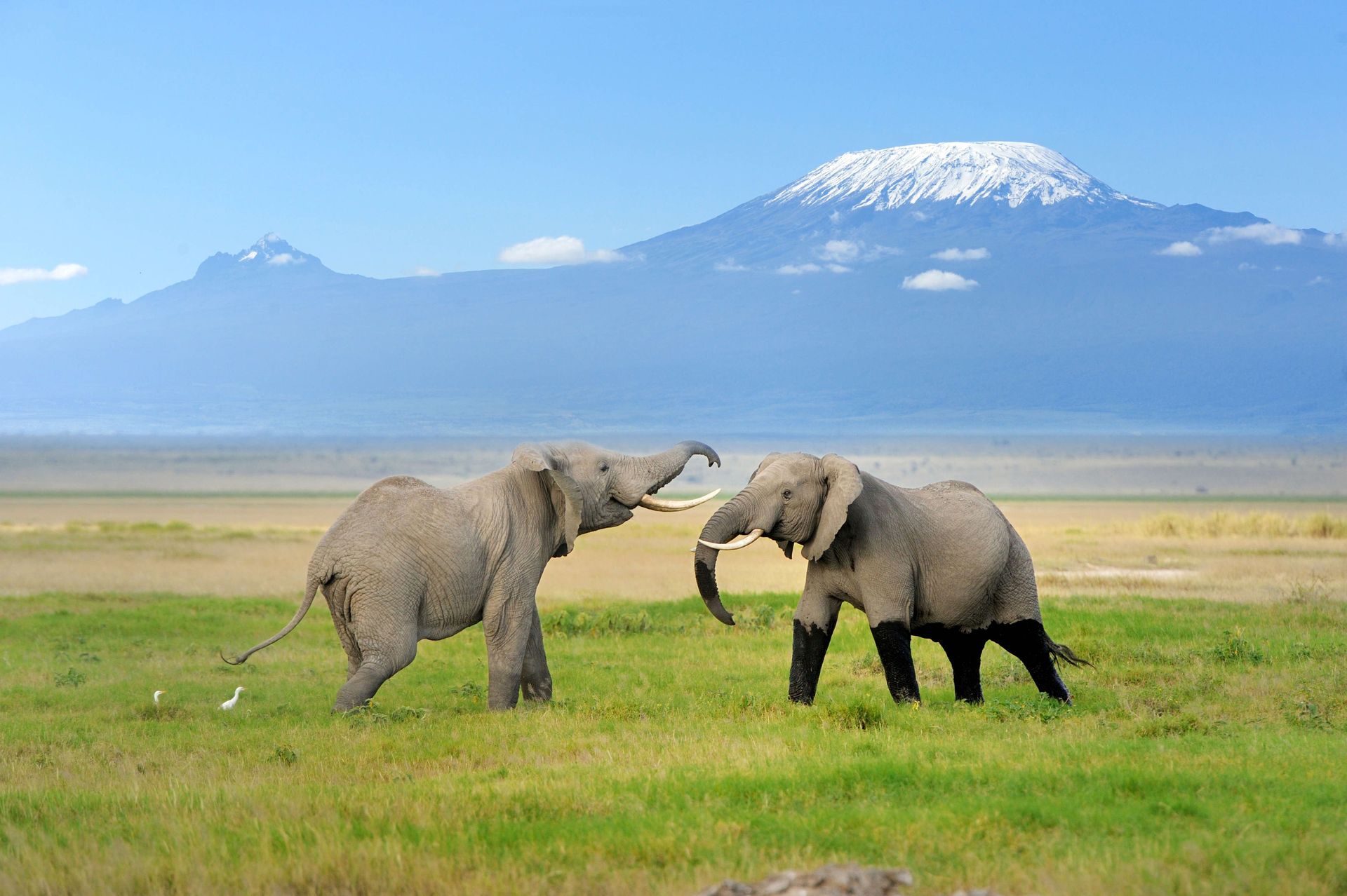 Kenya Holidays