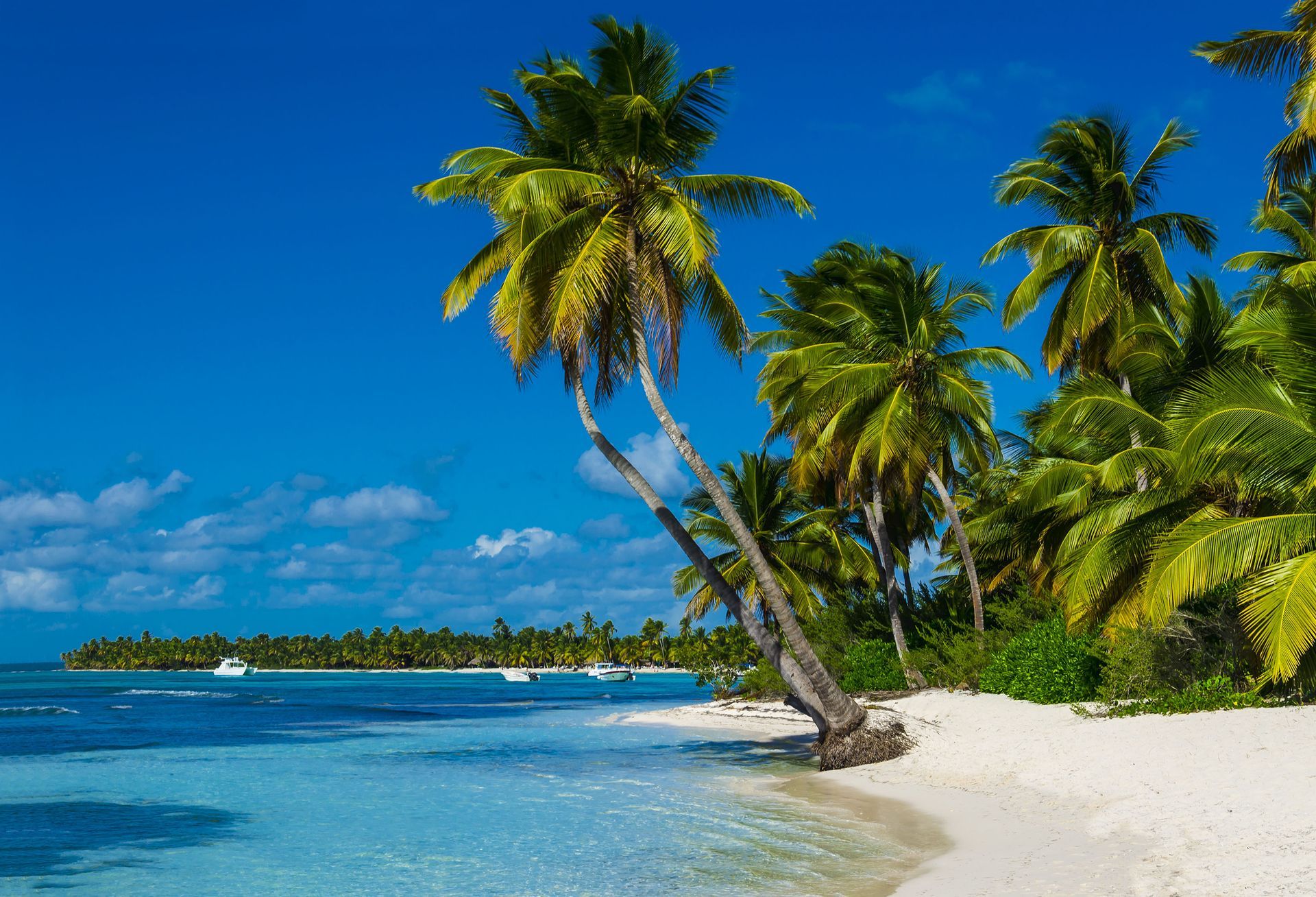Antigua Holidays