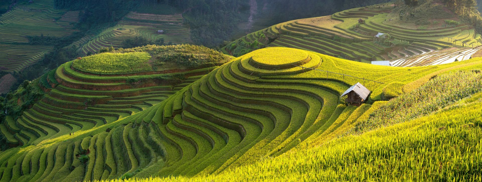 Vietnam holidays