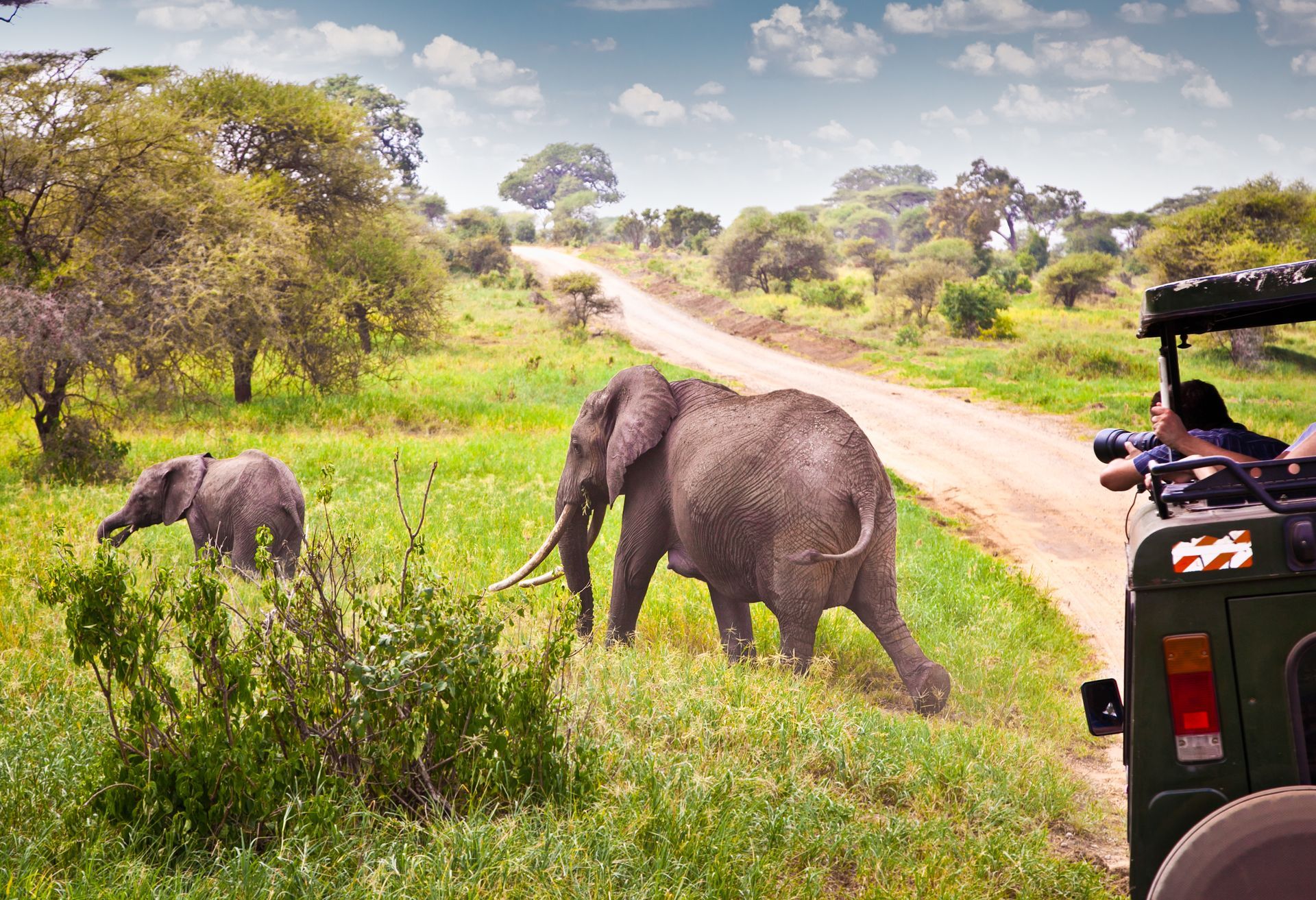 Kenya Safari Tour