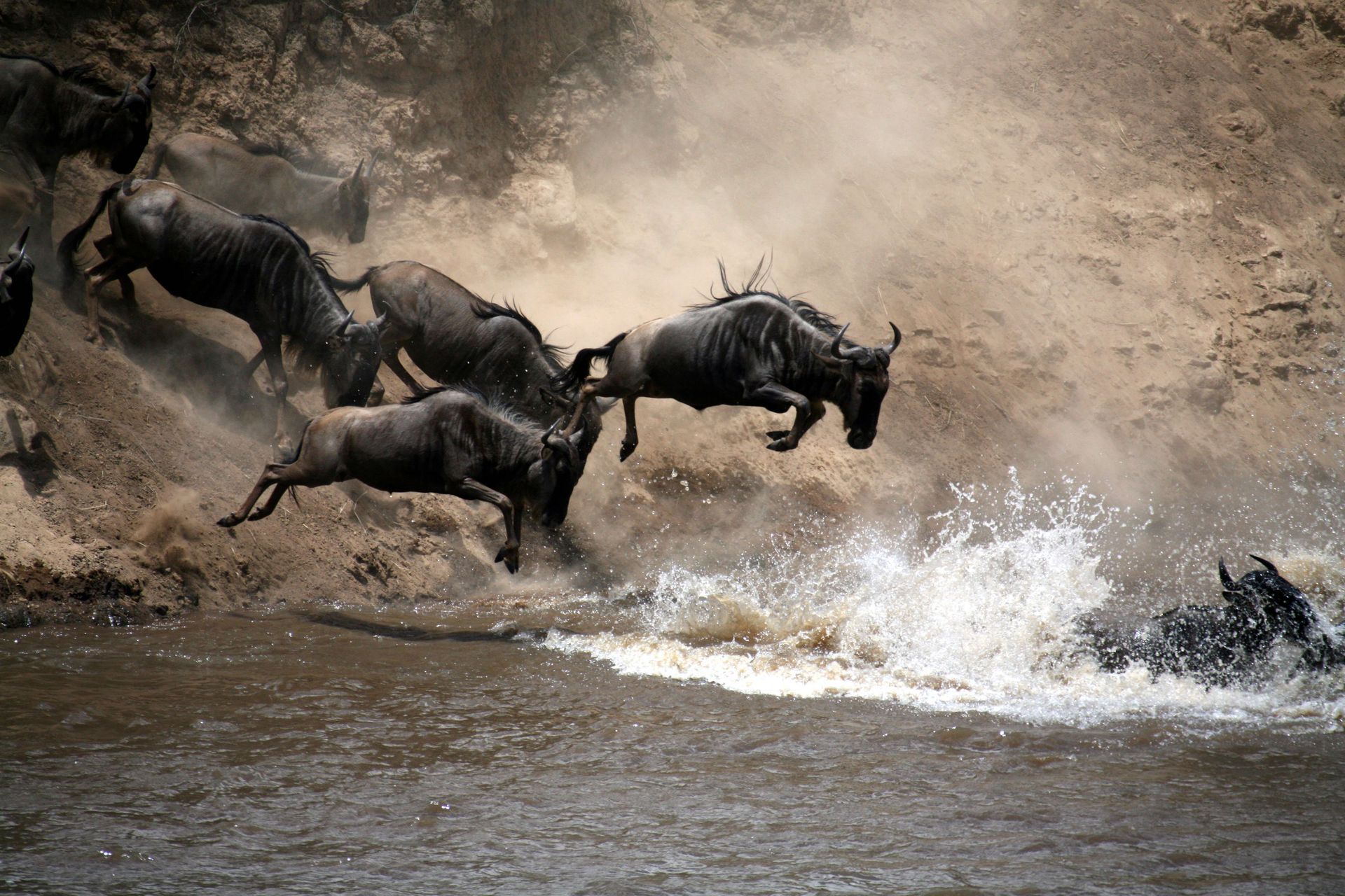 Tanzania Safari Tours