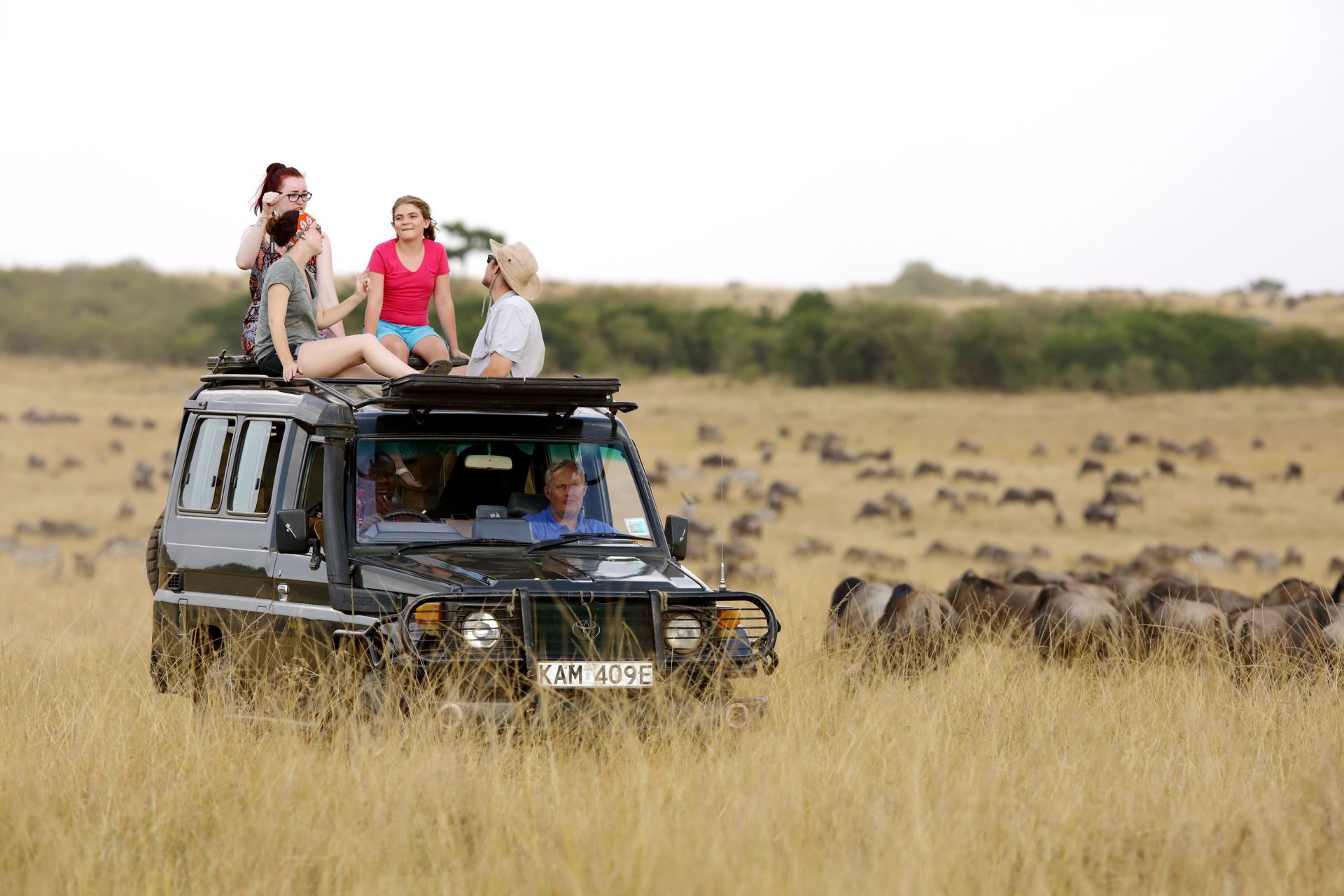 Africa Holidays