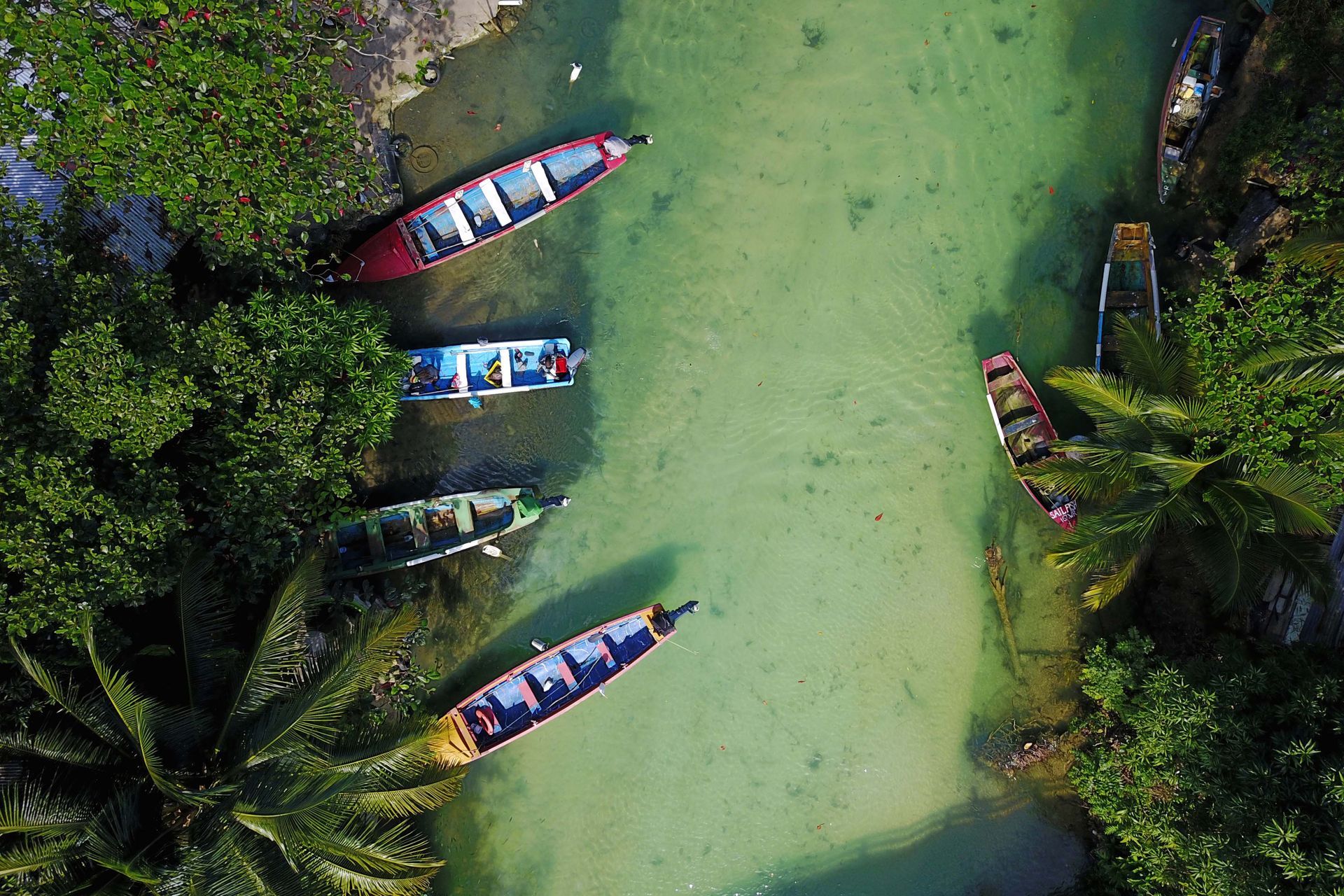Aerial view of White River in Jamaica.