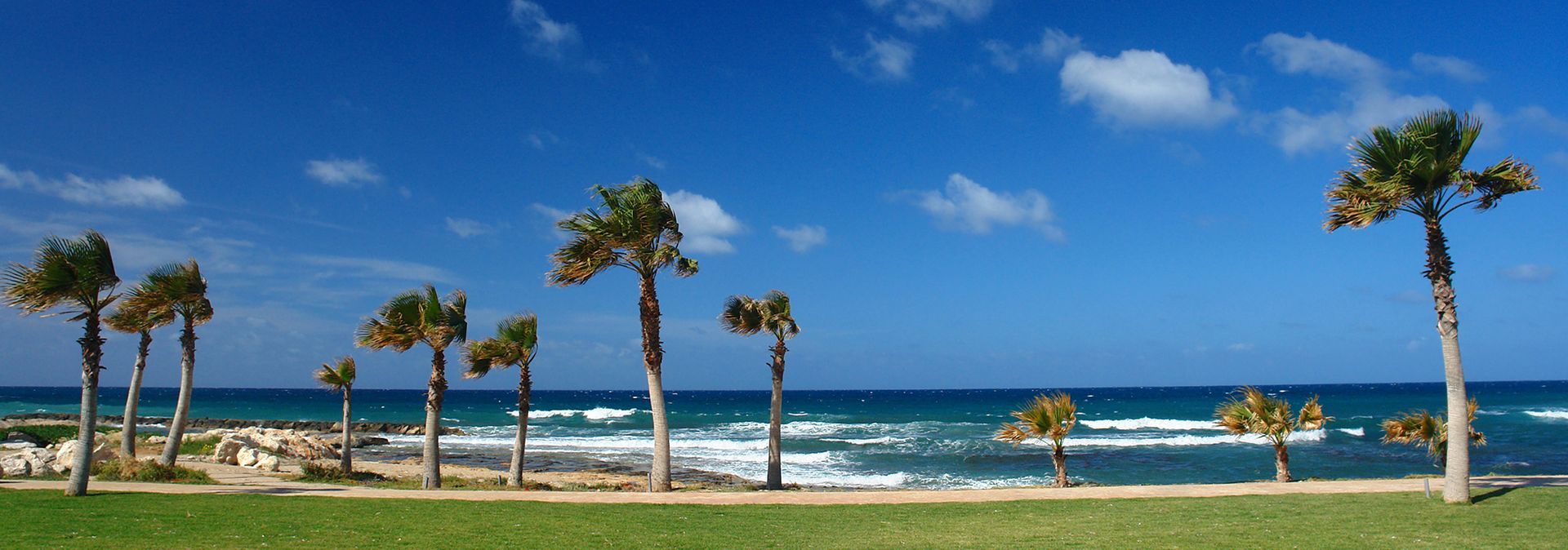 5 Star Paphos Holidays