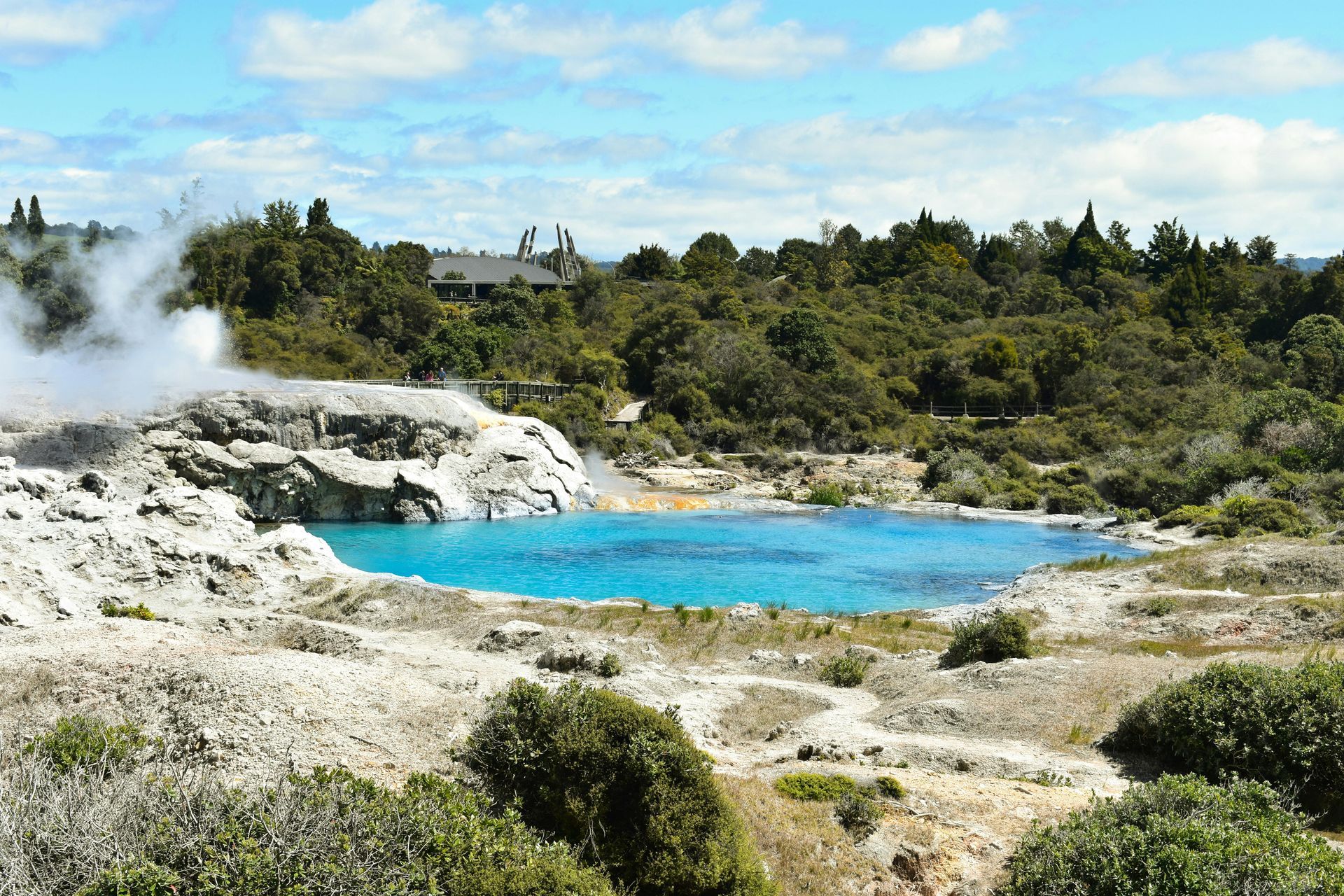 Magnificent New Zealand
