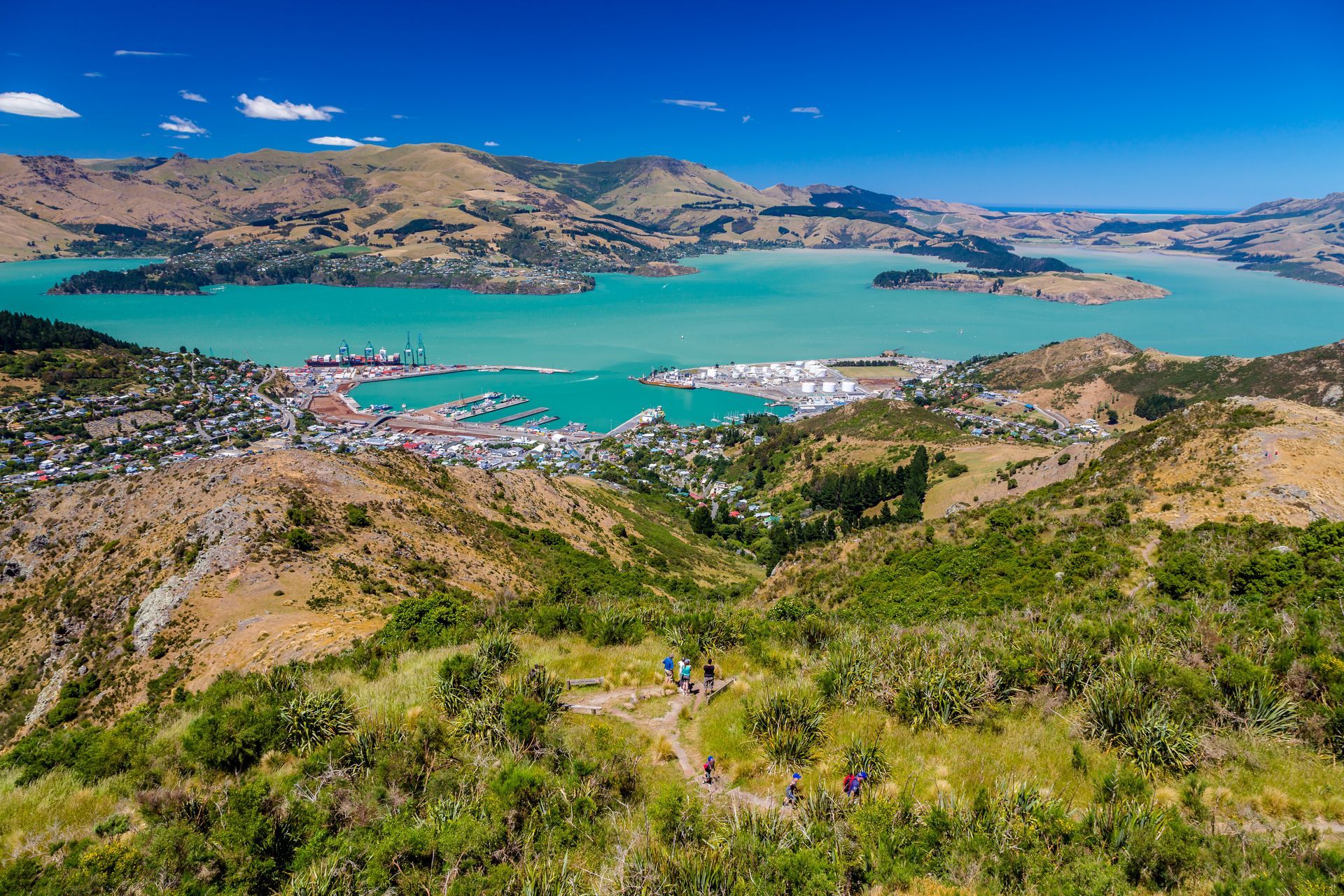 Magnificent New Zealand