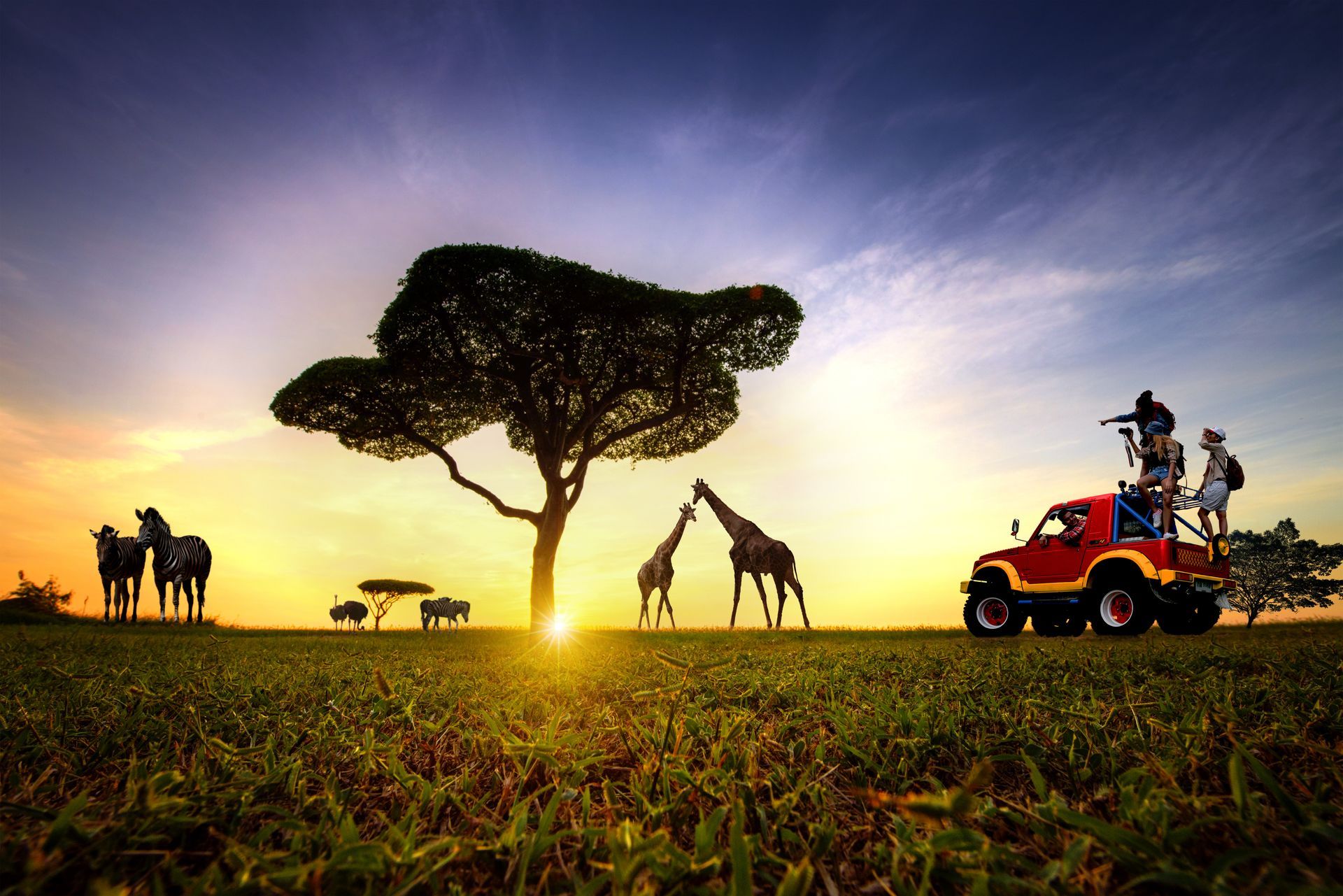 Kenya Safari Tours