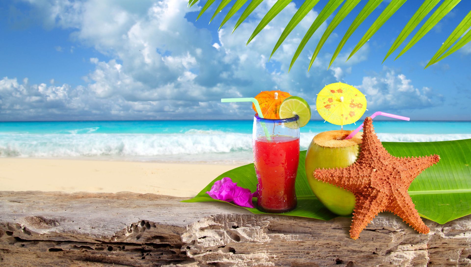 A starfish, cocktails in a glass and coconut on a beach.