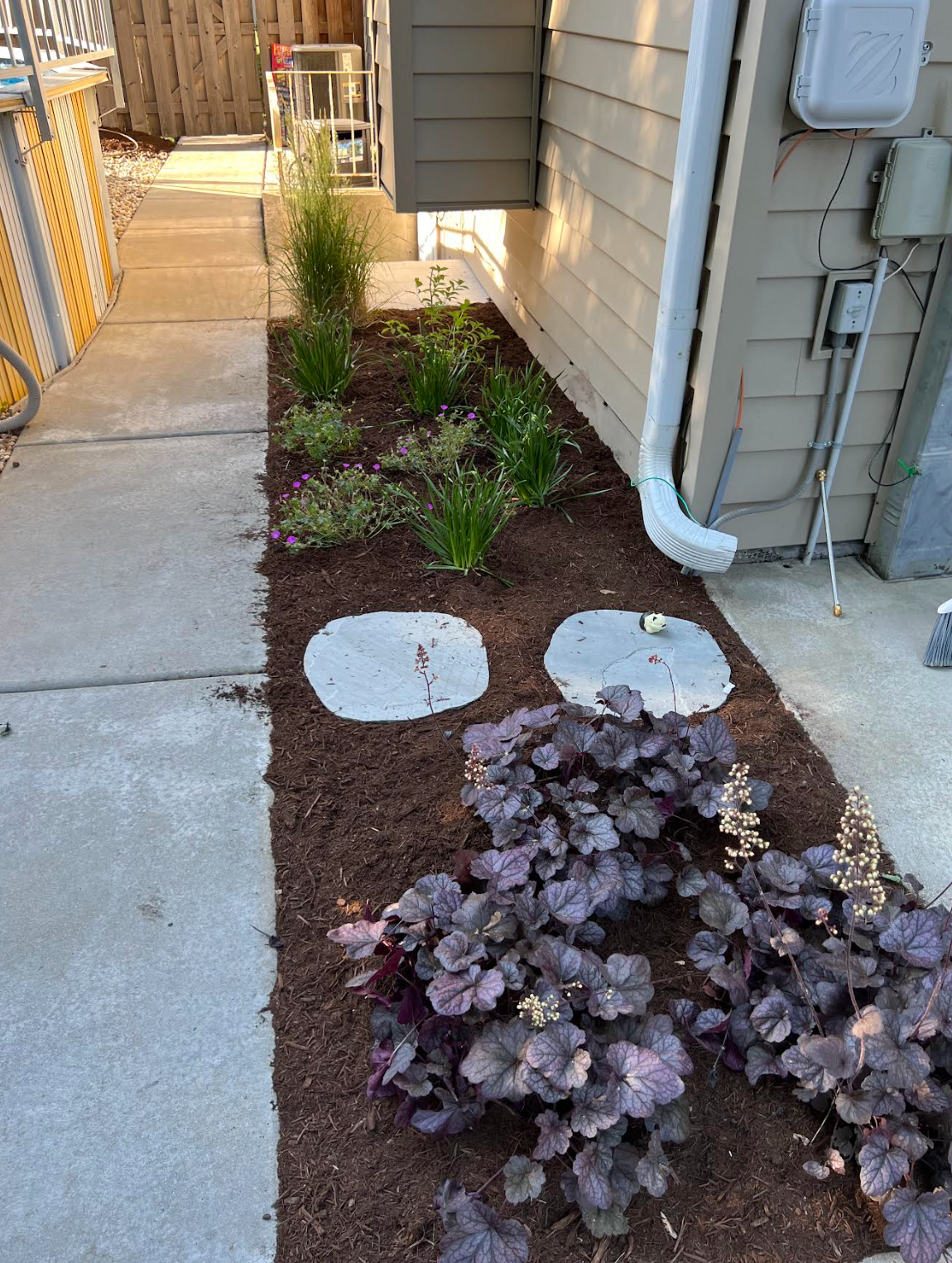 A sidewalk with purple plants and a house in the background.