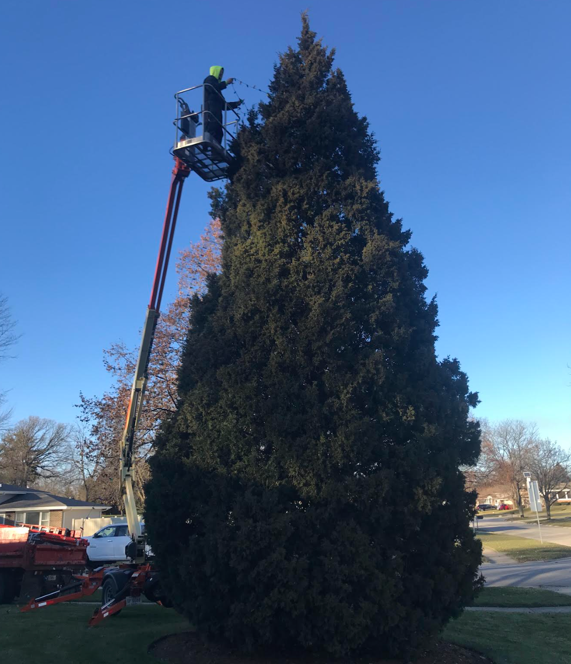 A man is standing on a crane cutting a christmas tree.