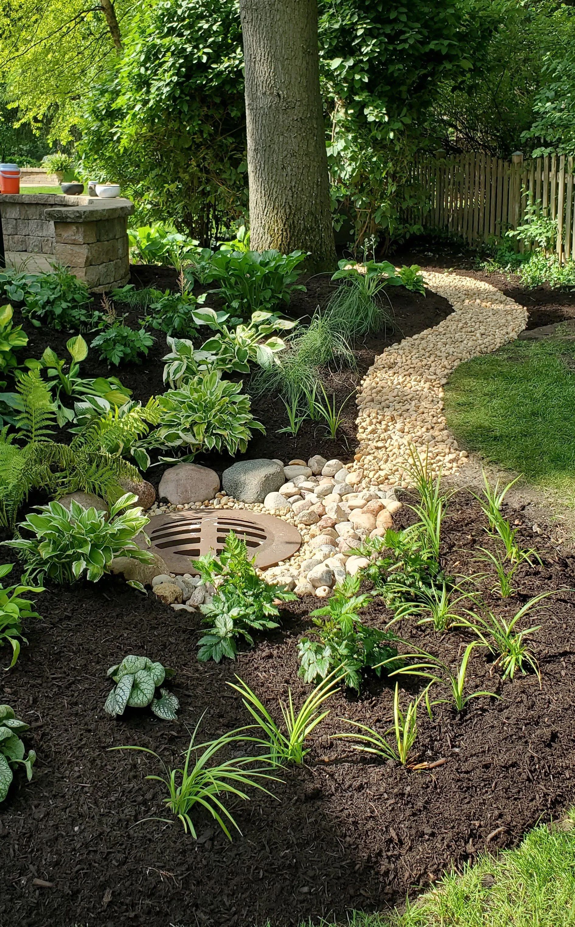 A winding rock pathway through a garden bed with lush green plants and a tree.