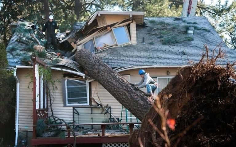 Fallen tree crushing a house roof, with debris and a worker inspecting the damage