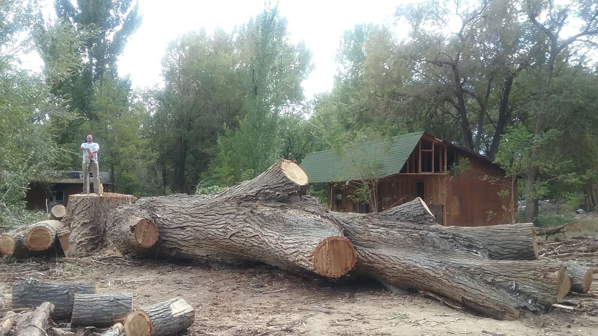 Stacked brown wooden logs in a neat pile.