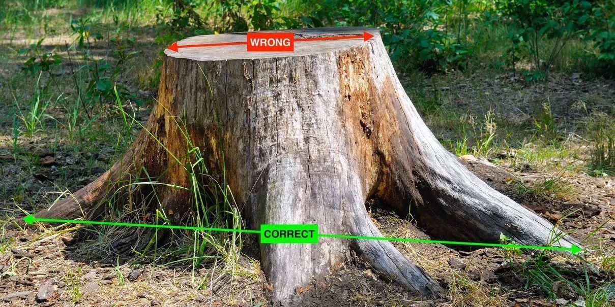 a man is standing in front of a machine that is cutting a tree stump