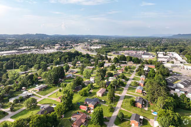 Halls, TN