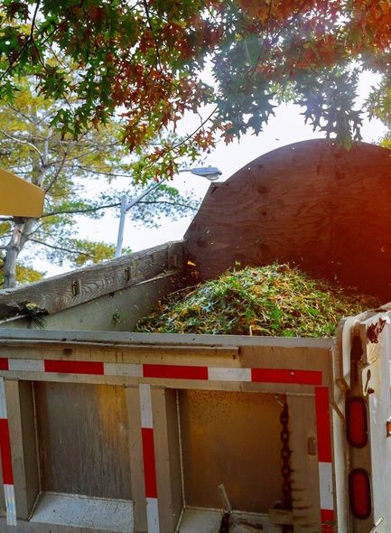 Lot Clearing — Yuba City, CA — Twin Cities Tree Service Lot Clearing — Yuba City, CA — Twin Cities Tree Service