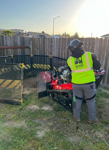 Stump Grinding — Yuba City, CA — Twin Cities Tree Service Stump Grinding — Yuba City, CA — Twin Cities Tree Service