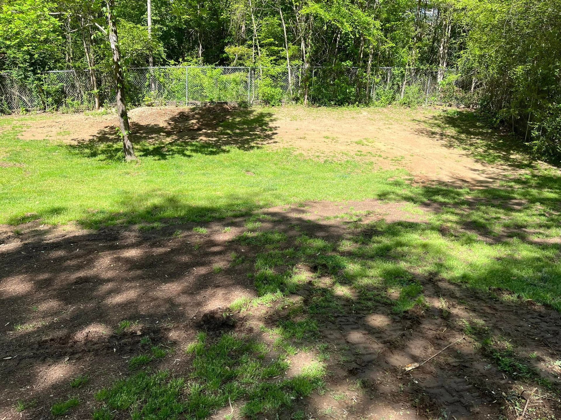 Sunny grassy clearing with dirt patches, bordered by trees and shrubs.