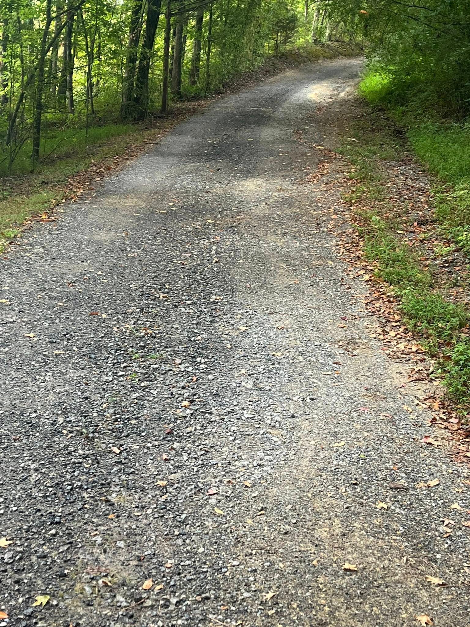 Gravel path winding through a green wooded area in daylight