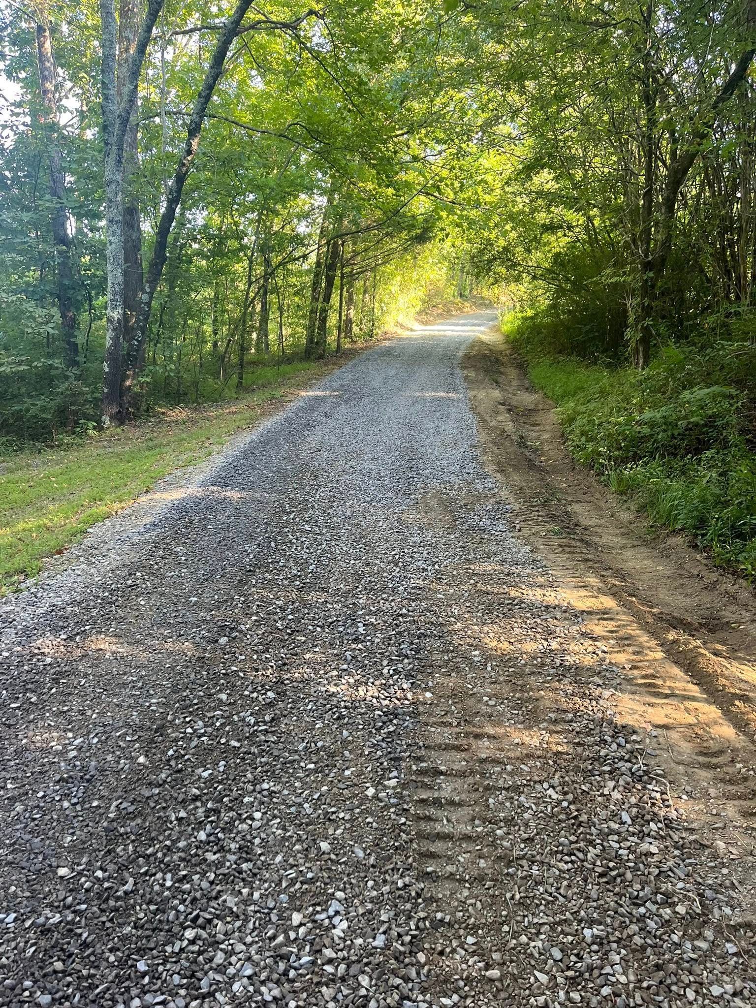 Gravel path through a sunlit green forest, curving uphill into the distance