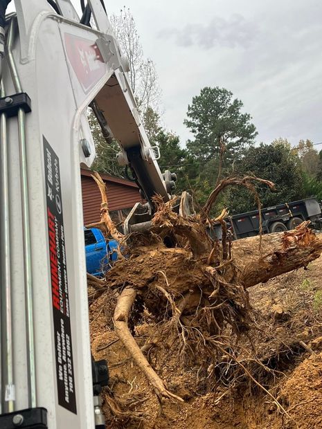 Excavator bucket lifting a large root ball of dirt beside a house and trees