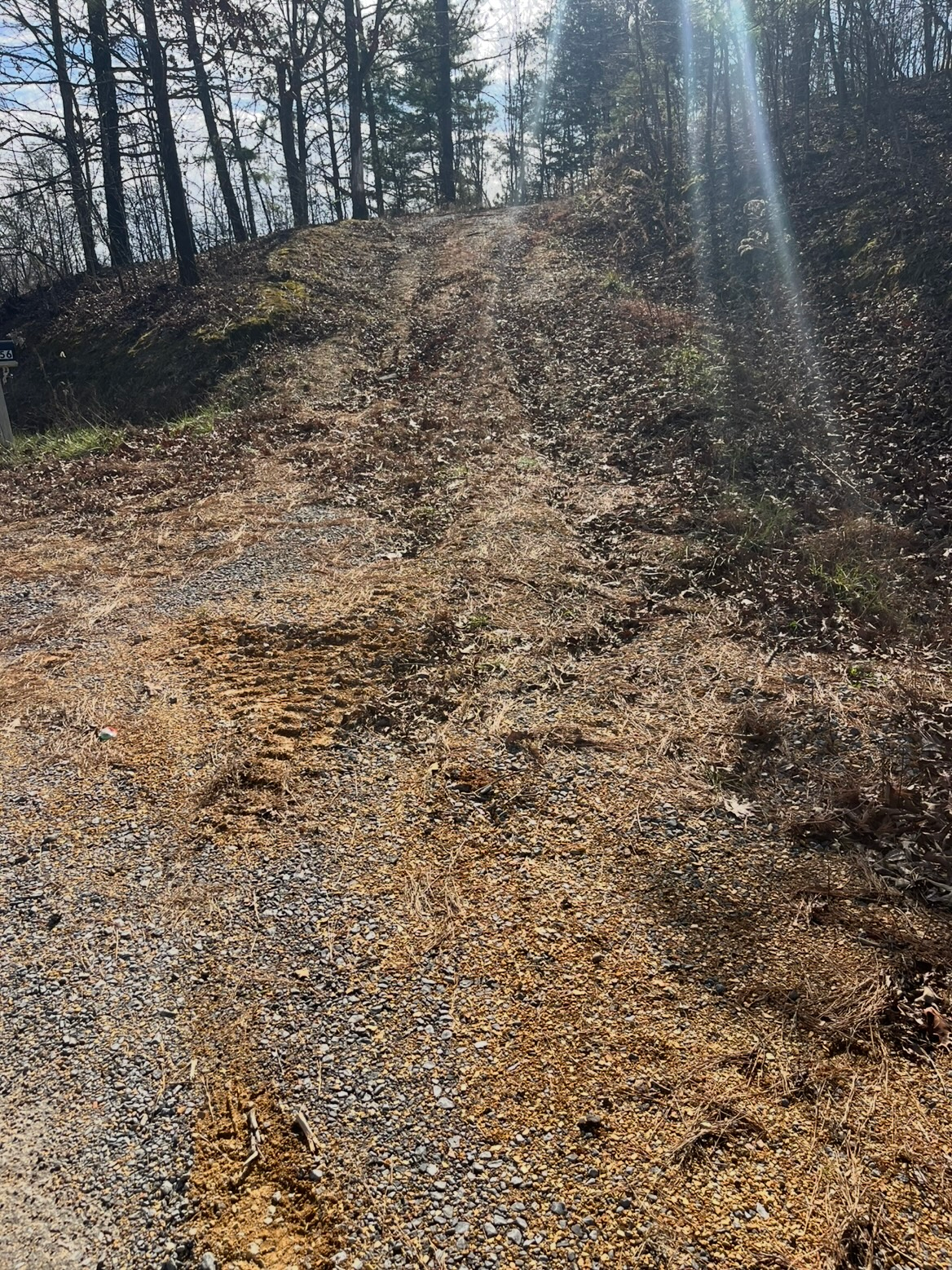 Sunlit gravel path winding uphill through leafless trees in a wooded area