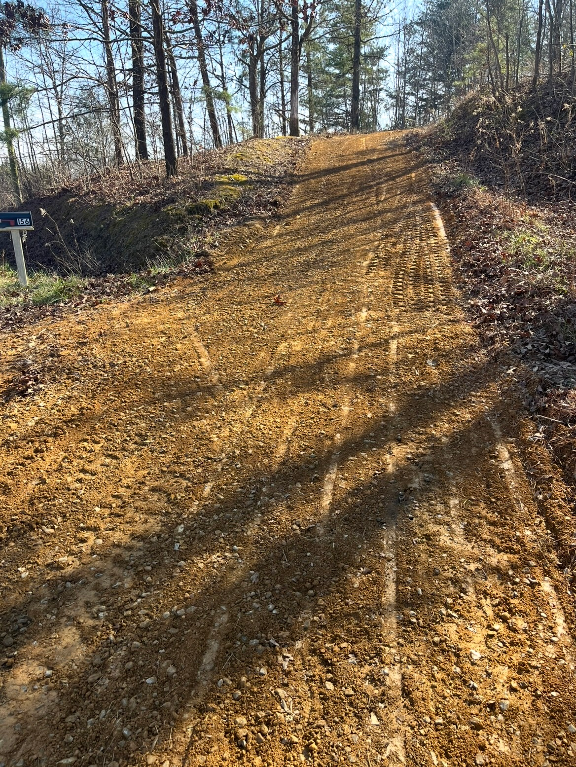 Leaf-covered dirt trail climbing a wooded hill, with long tree shadows across the path.